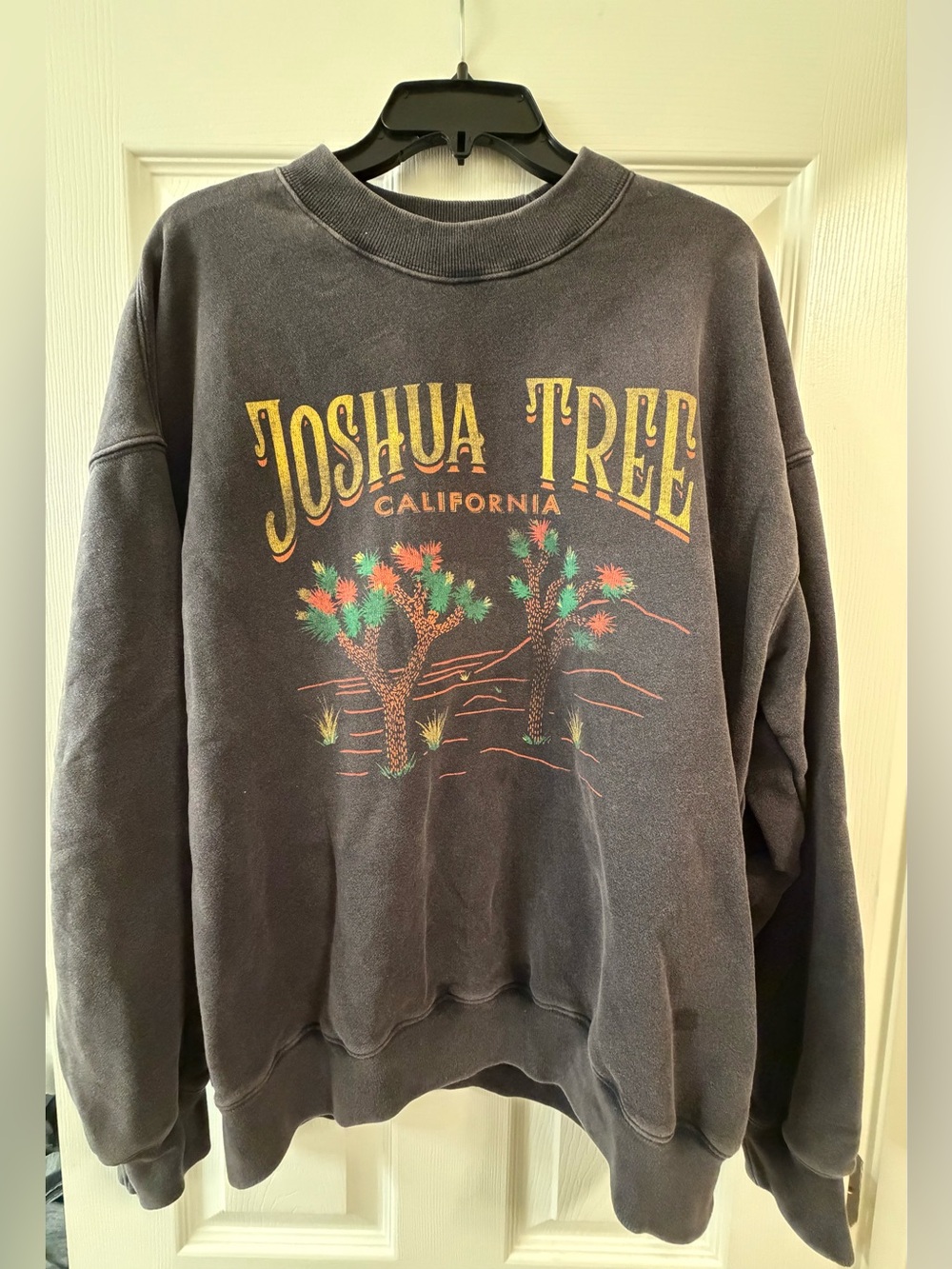 Abercrombie & Fitch Soft AF Joshua Tree Graphic Sweatshirt - Medium Adult